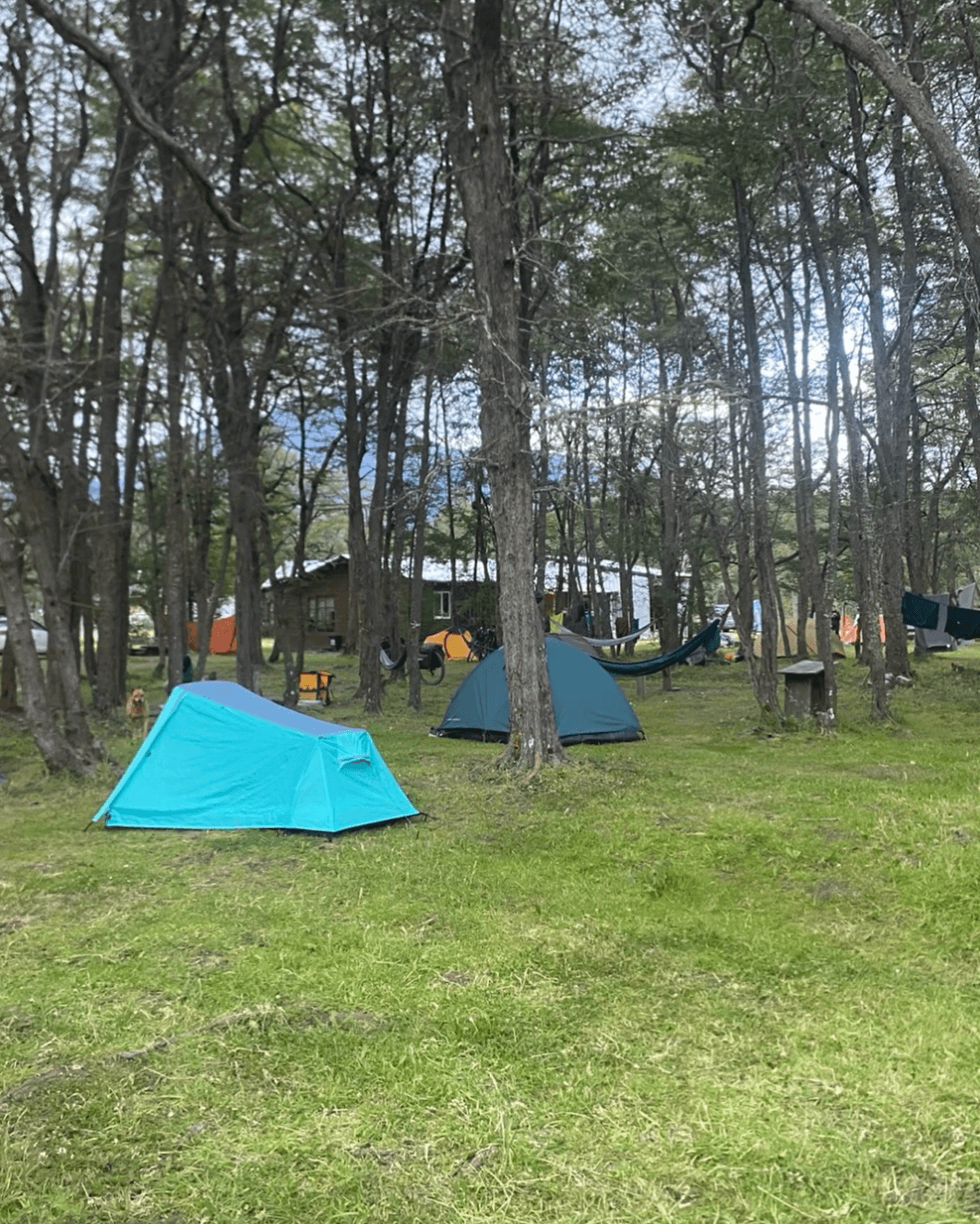 Camping y Refugios Los Pioneros - Villa O'Higgins foto 3
